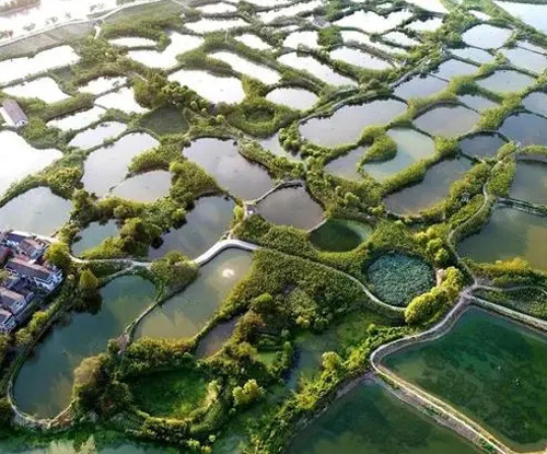 罗茨鼓风机主要作用是什么？